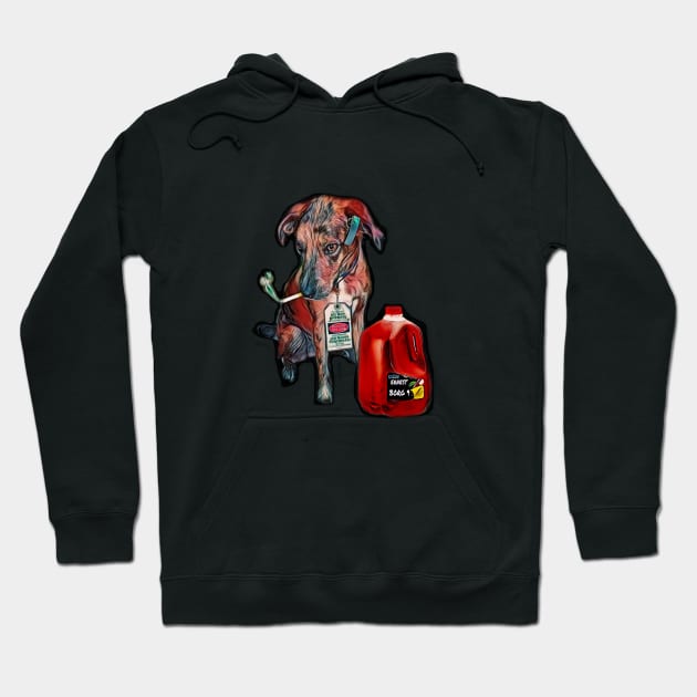 BORG Dog Hoodie by Better Bring a Towel